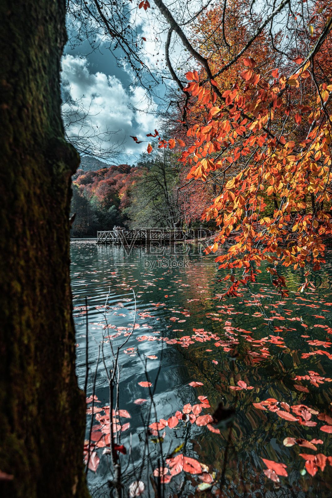 土耳其的耶迪戈勒国家公园。森林深处的秋景中,色彩斑斓的树木和步道。森林里的秋色构成了一幅壮丽的景色。大自然的秋景。照片摄影图片