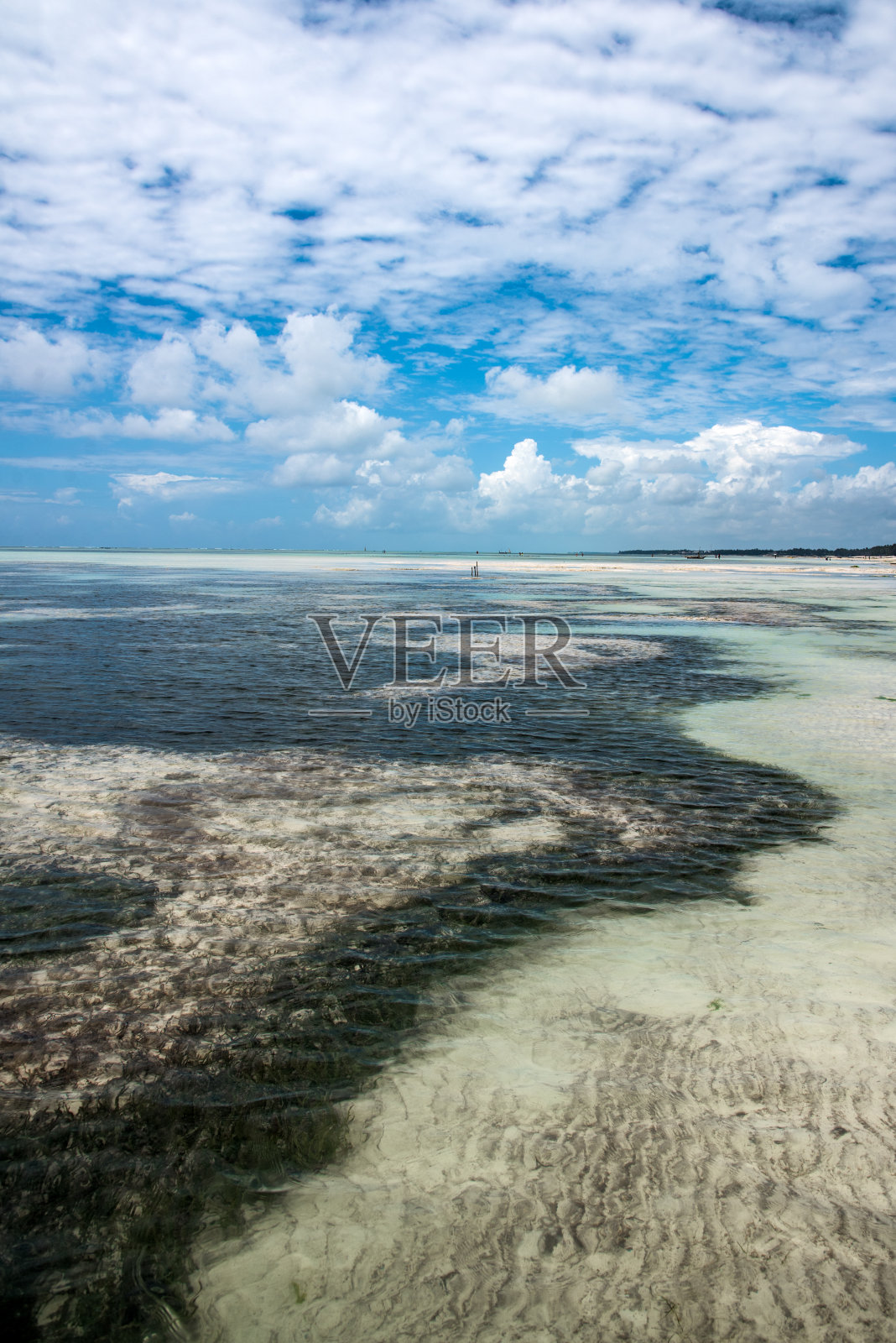 Zanzibar作为"照片摄影图片