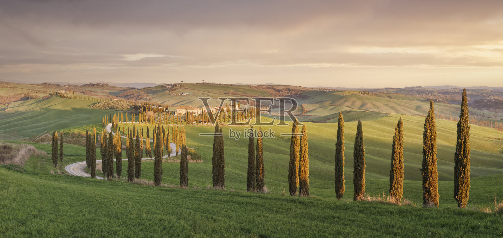 典型的托斯卡纳绿色田野的春天照片摄影图片