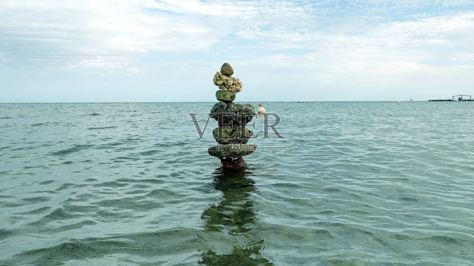 红海美丽的珊瑚礁照片摄影图片