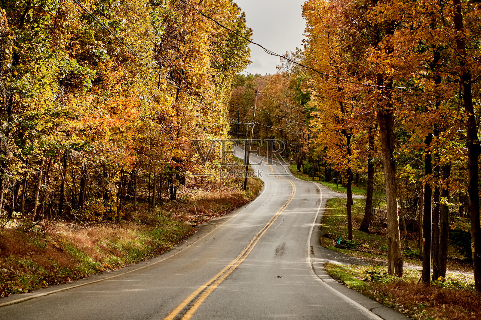 道路两旁是五颜六色的树叶照片摄影图片