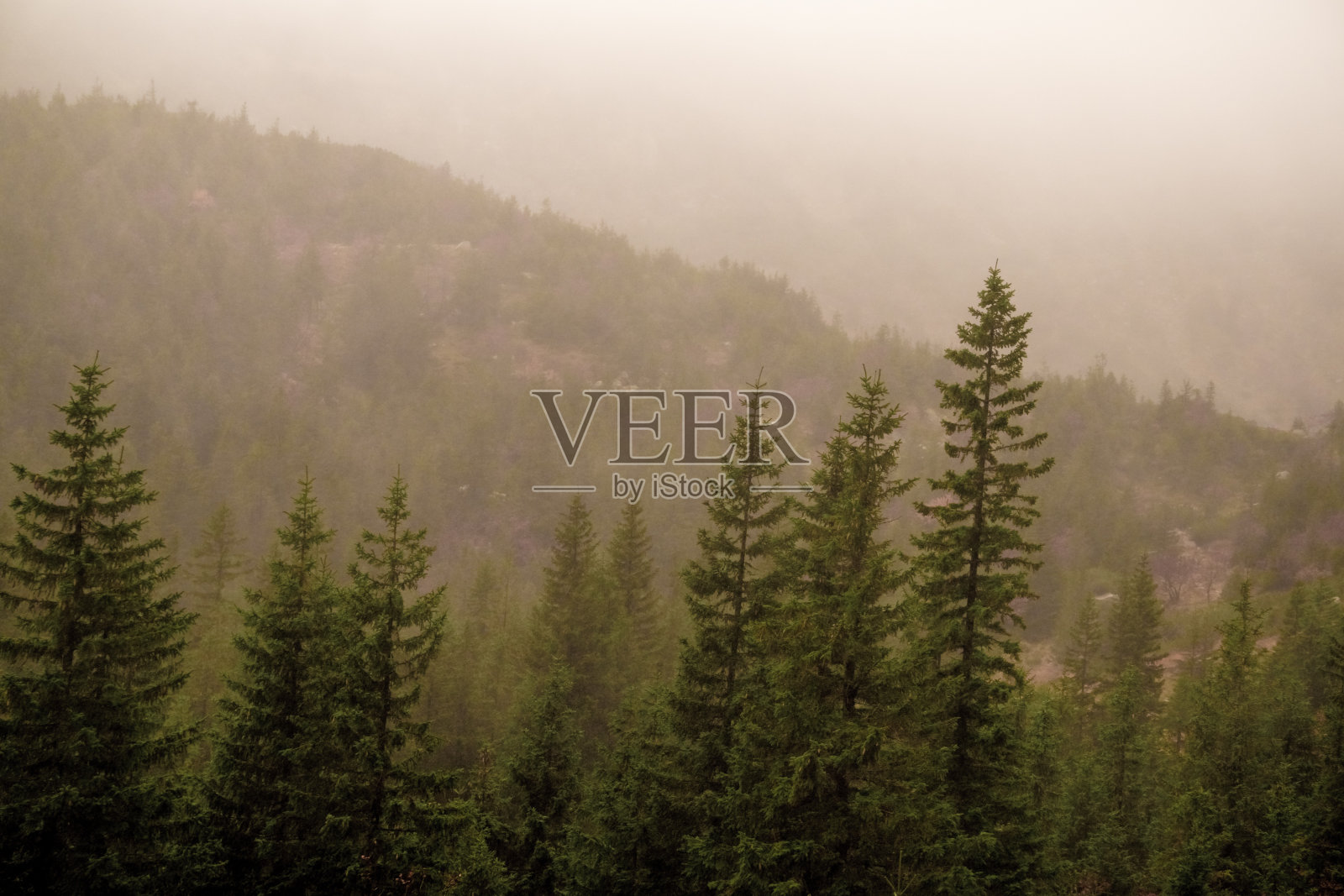 雾山照片摄影图片