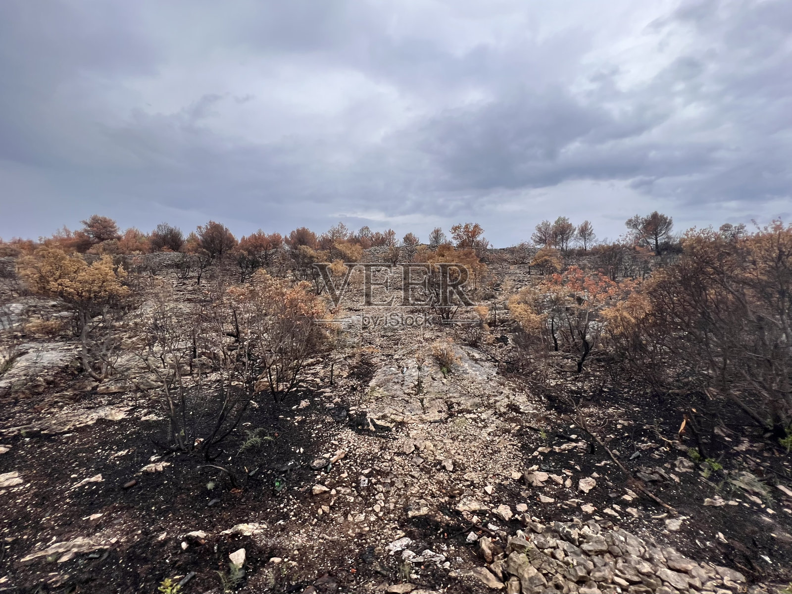 帕格岛介于拉伯和扎达尔-科兰县之间,克罗地亚亚得里亚海的地中海照片摄影图片
