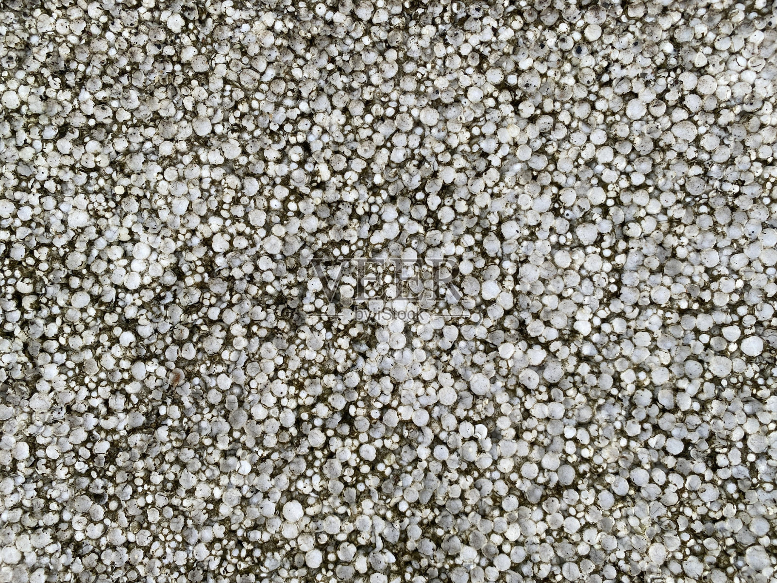 老泡沫质地照片摄影图片