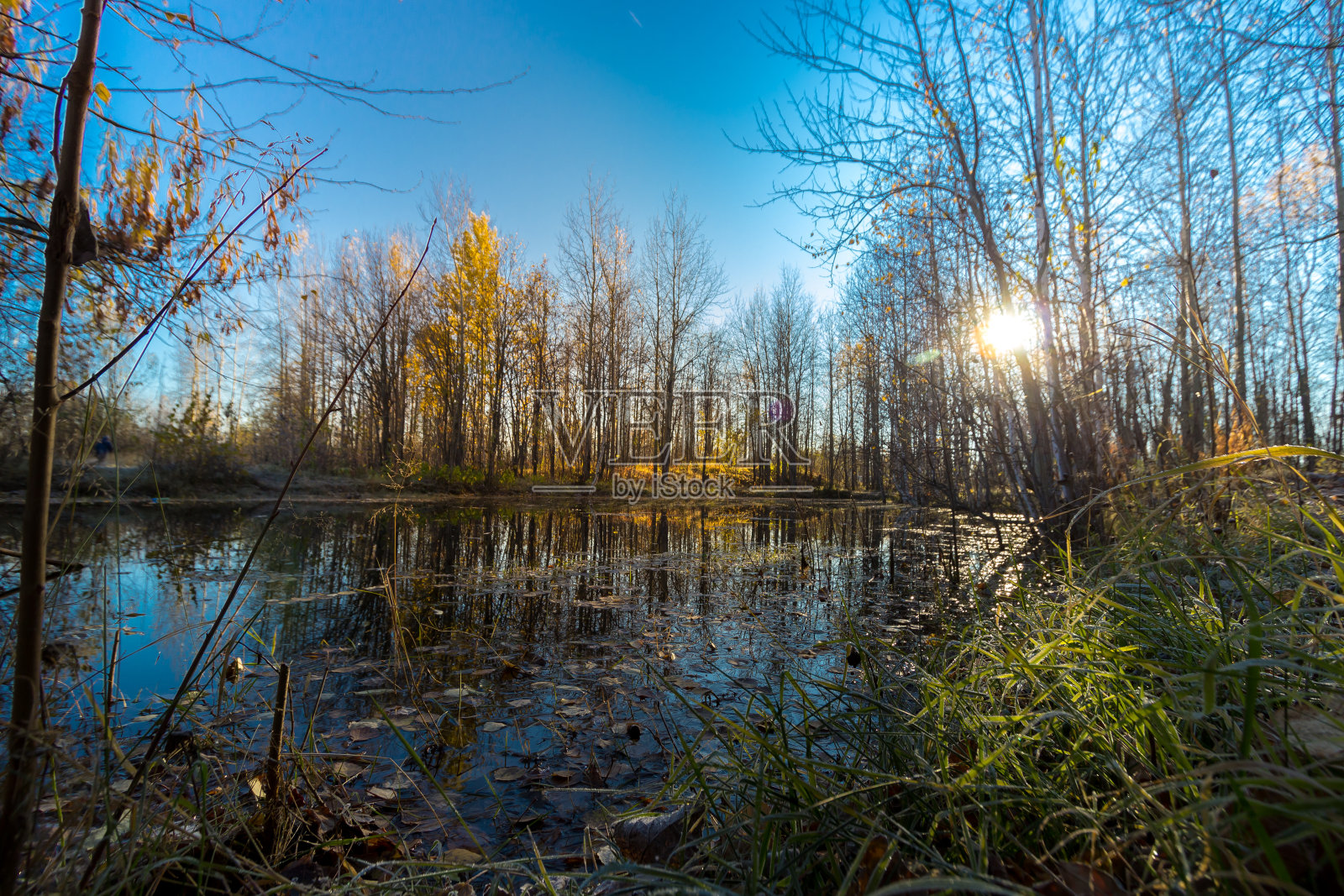 小湖在霜冻前长满了灌木和草照片摄影图片