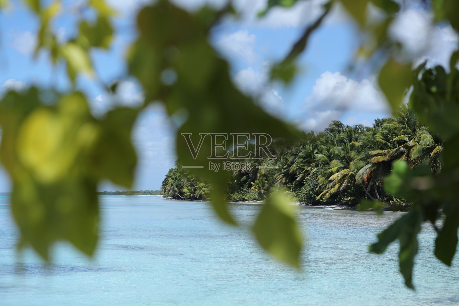 自然海滩照片摄影图片