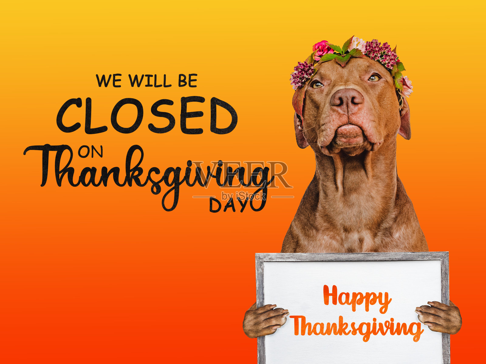 写着“我们关门了”的招牌照片摄影图片