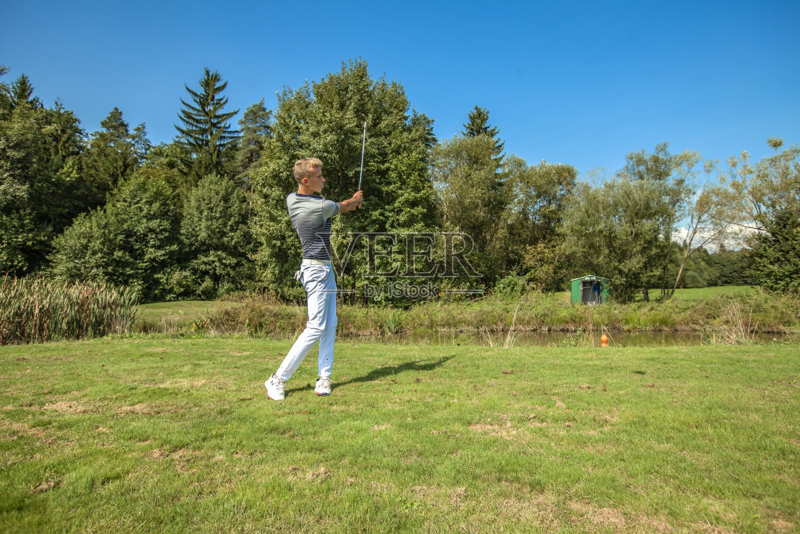 在一个阳光明媚的日子里,一个年轻人在被树木环绕的场地上打高尔夫球照片摄影图片