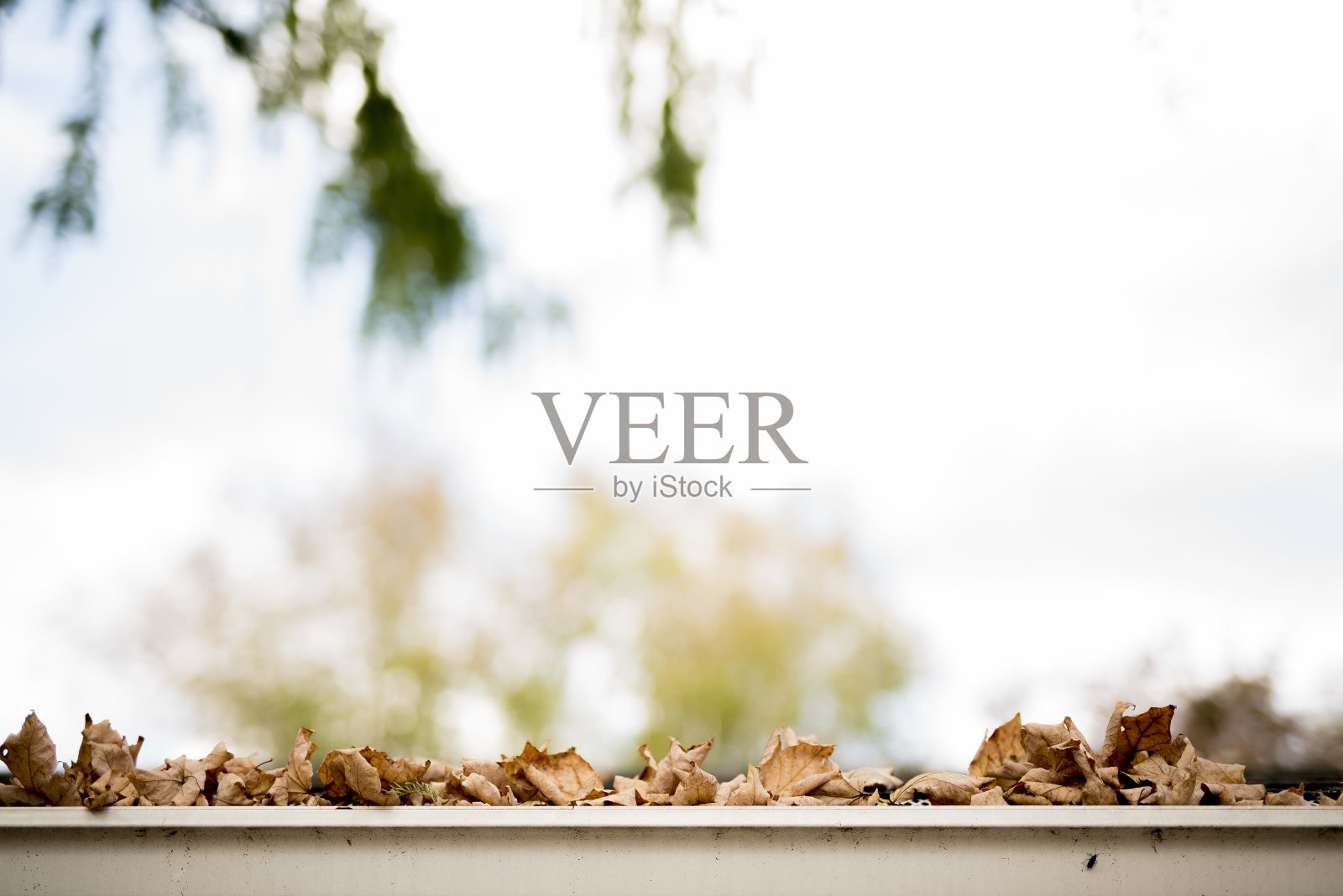 特写镜头中,干燥的棕色树叶落在白色的表面上,背景模糊照片摄影图片