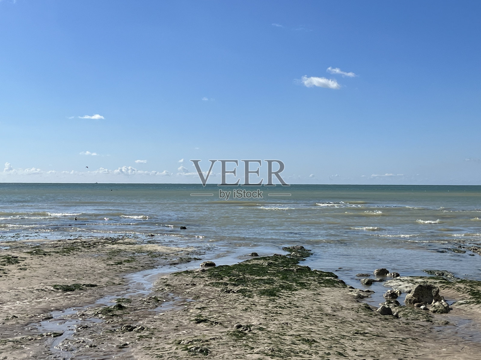 退潮时靠近白色悬崖的海滩上的岩石照片摄影图片