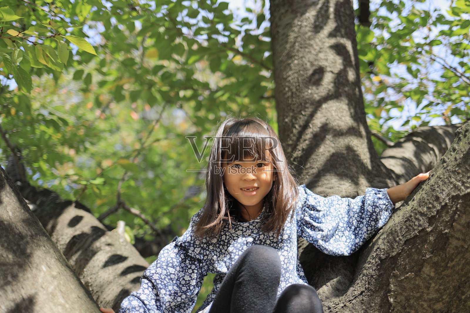 日本女学生正在爬树(8岁)照片摄影图片