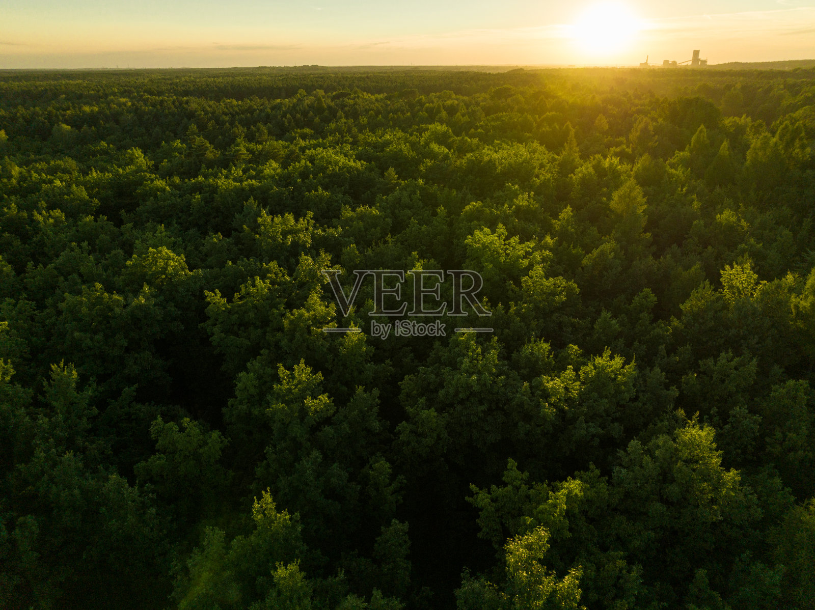 从无人机上俯瞰森林。照片摄影图片