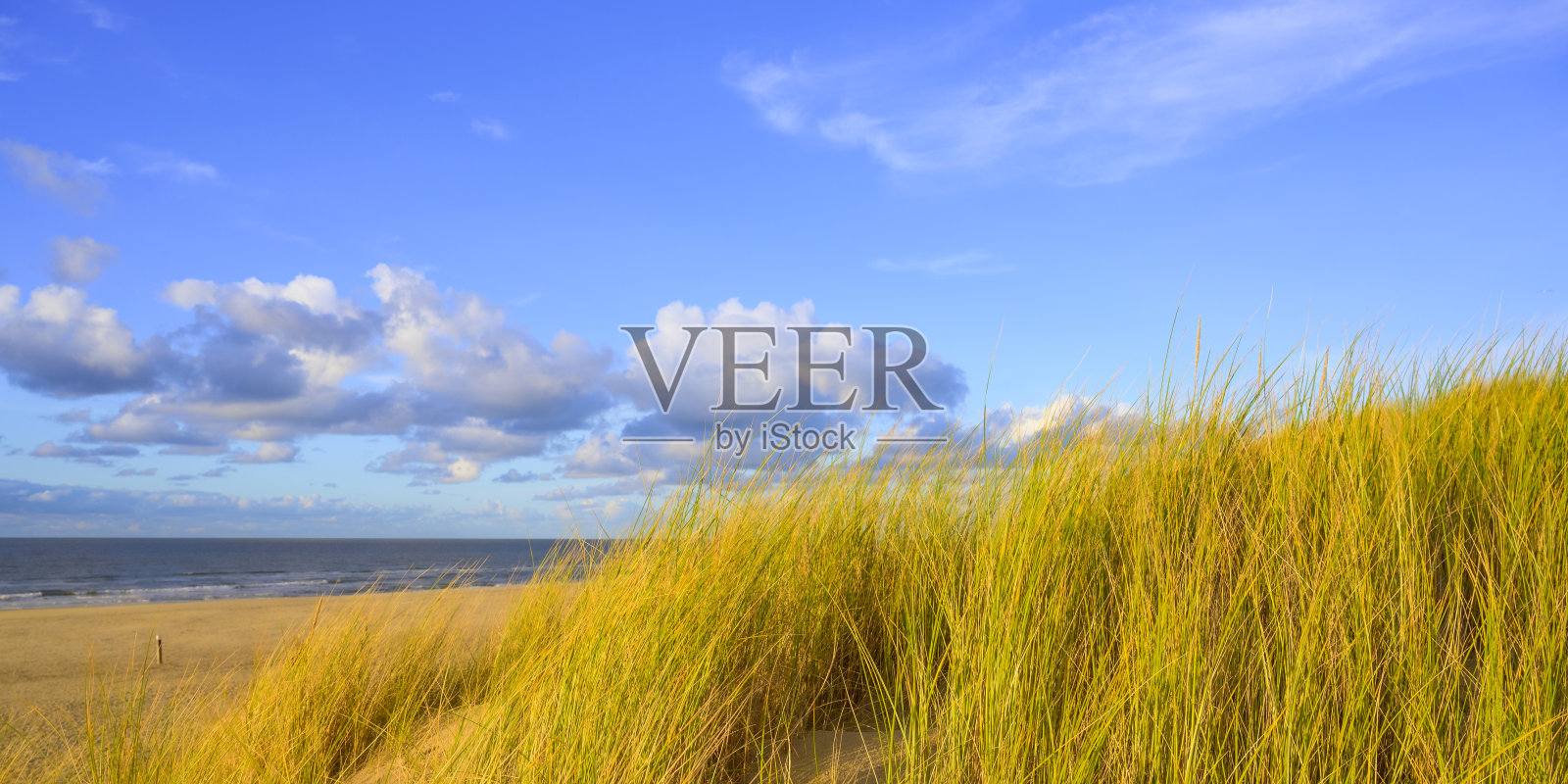 特塞尔海滩的日落,前景是沙丘照片摄影图片