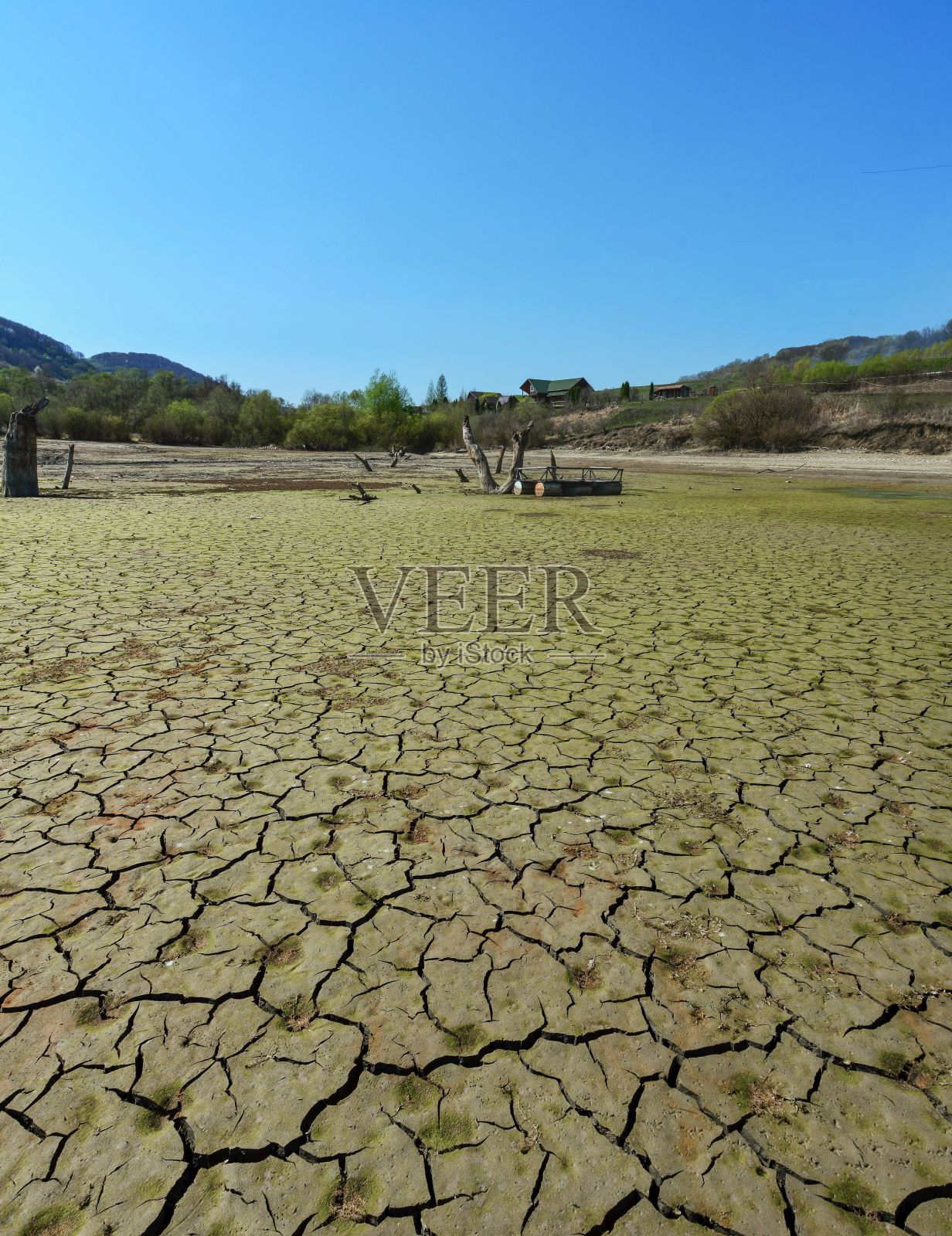 干涸湖底的裂泥,森林覆盖的小山和清澈的天空为背景照片摄影图片