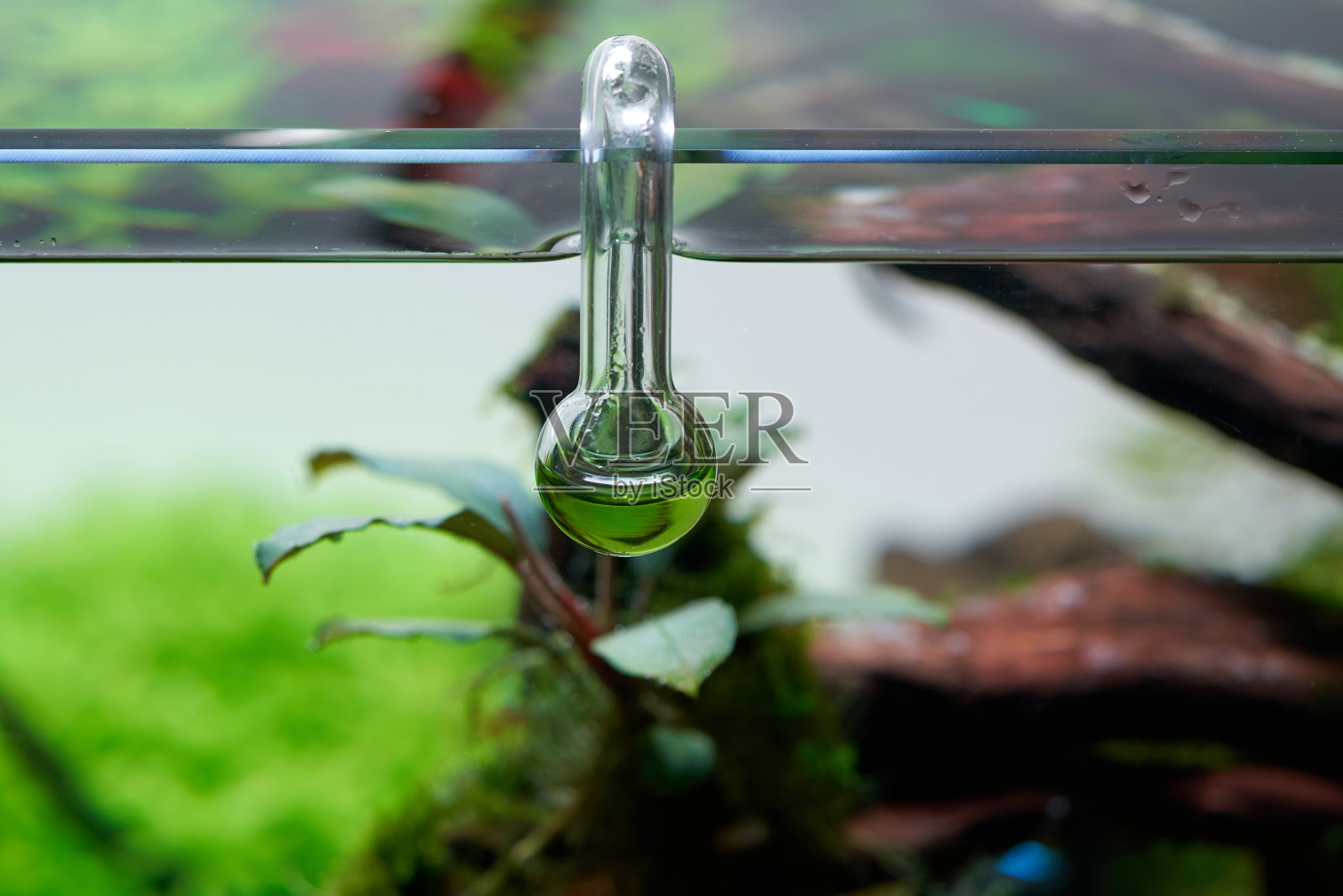 玻璃悬挂CO2水族掉落检查器照片摄影图片