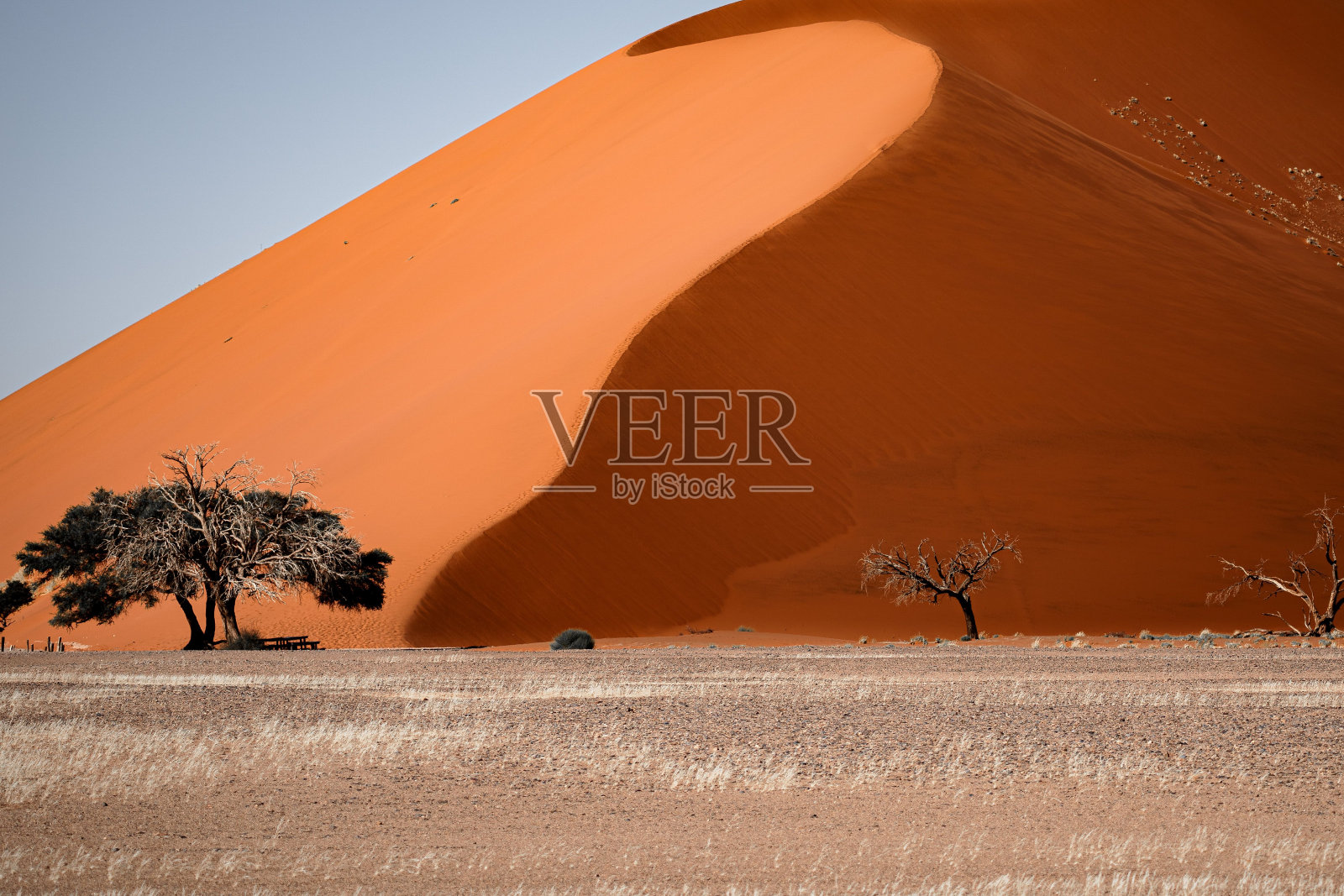 南非索苏斯vlei盐湖床上的红色沙丘照片摄影图片