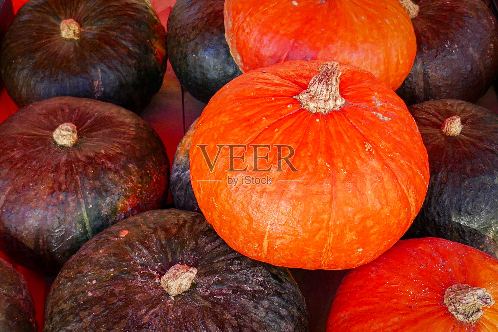 意大利曼托瓦,又名曼图亚,桌子上的南瓜照片摄影图片