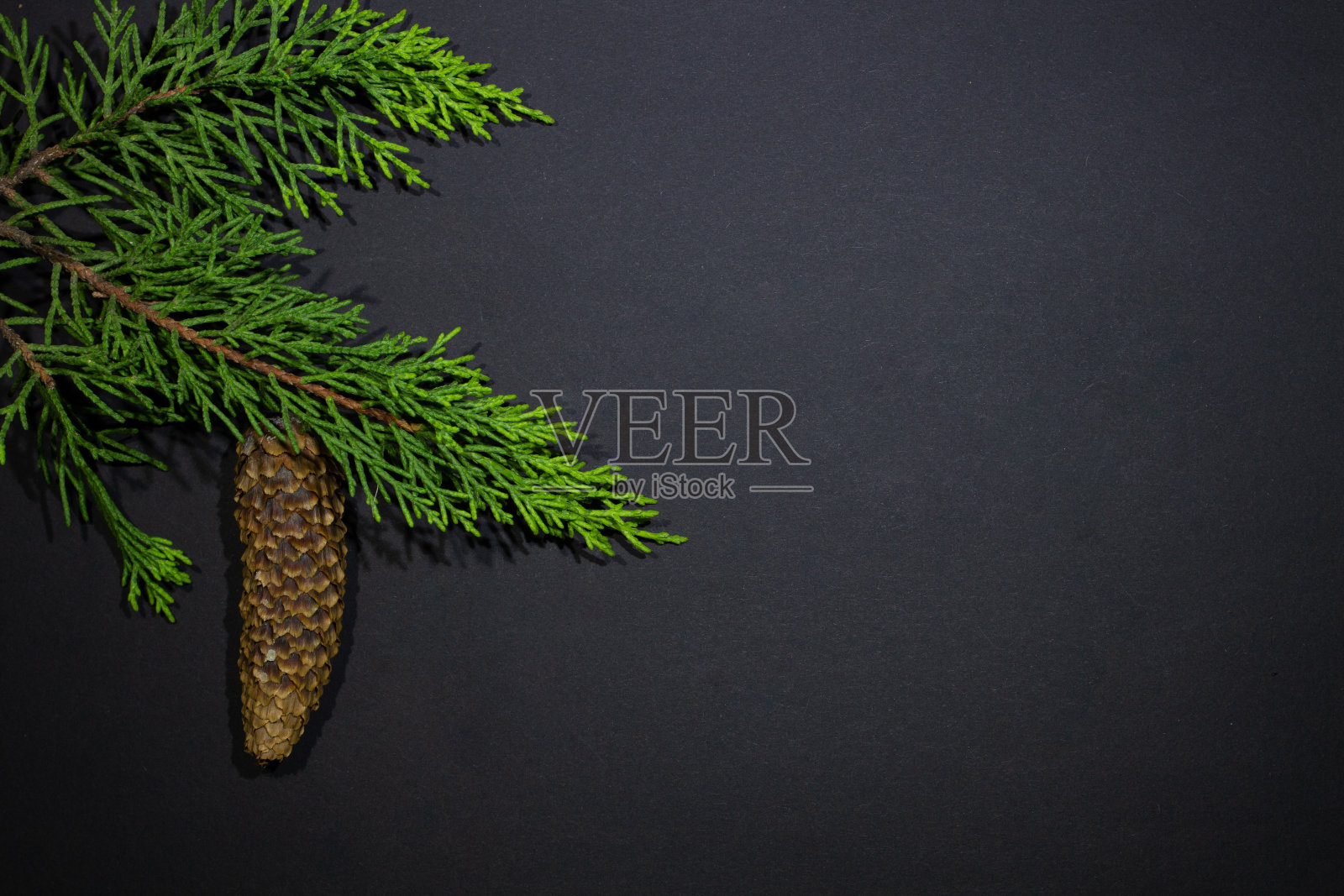 新年背景-圣诞树与冷杉锥-与空空间-在一个黑暗的背景照片摄影图片