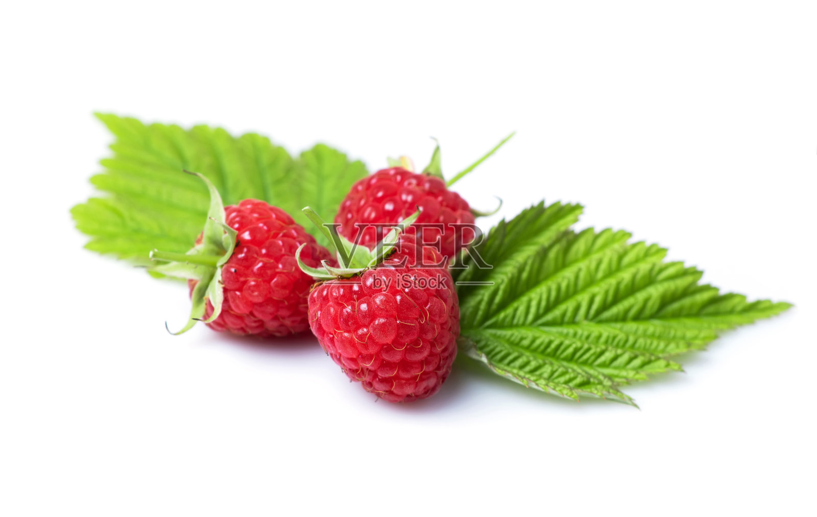 带叶覆盆子。白色背景上孤立的树莓。照片摄影图片
