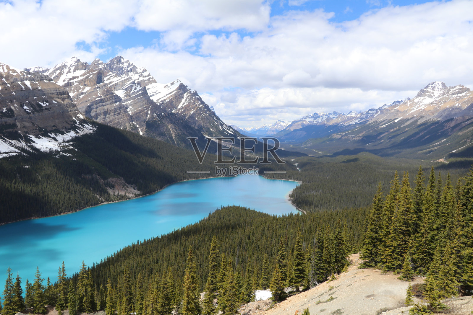 加拿大班夫国家公园的帕托湖和雪山的壮丽景色照片摄影图片