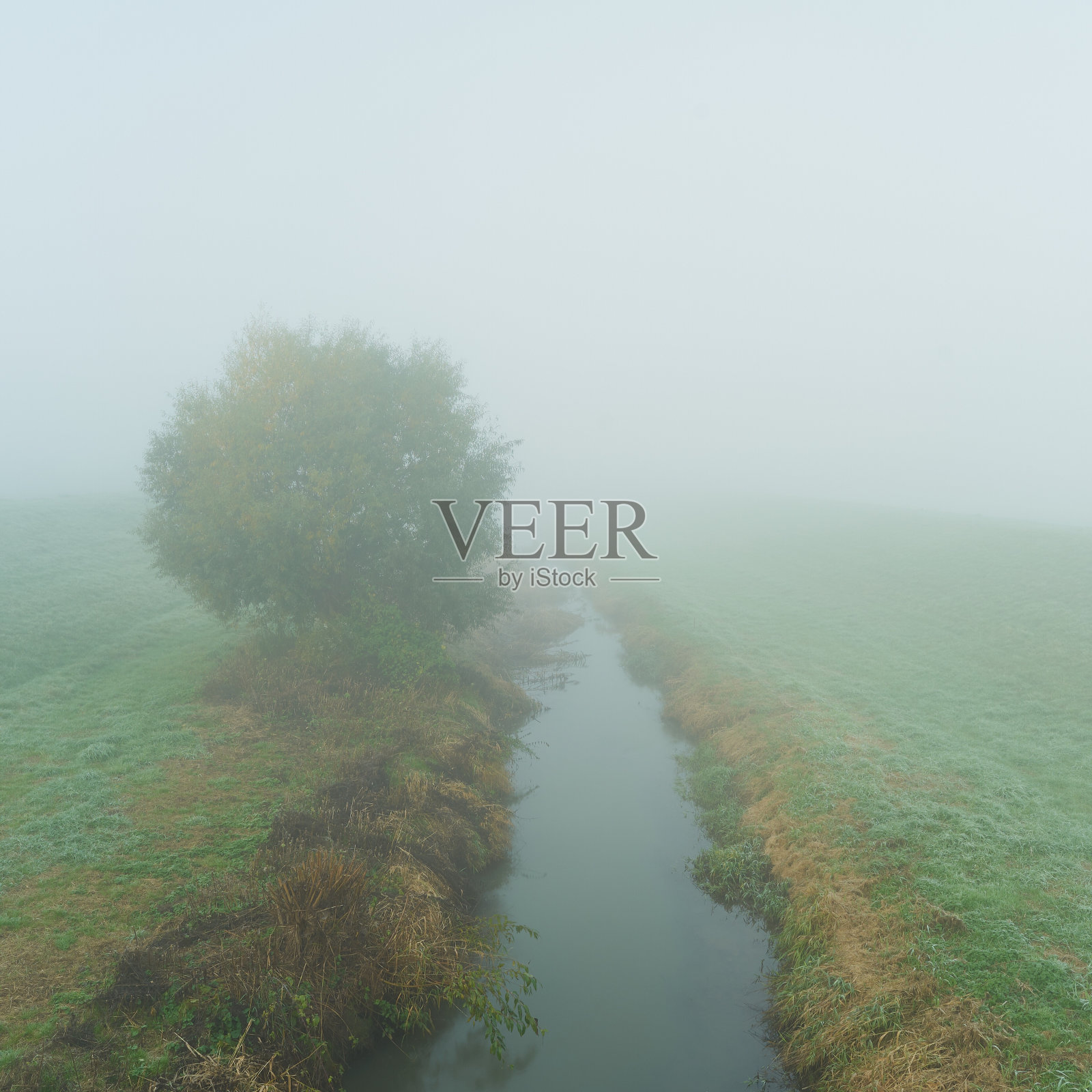 小溪流照片摄影图片