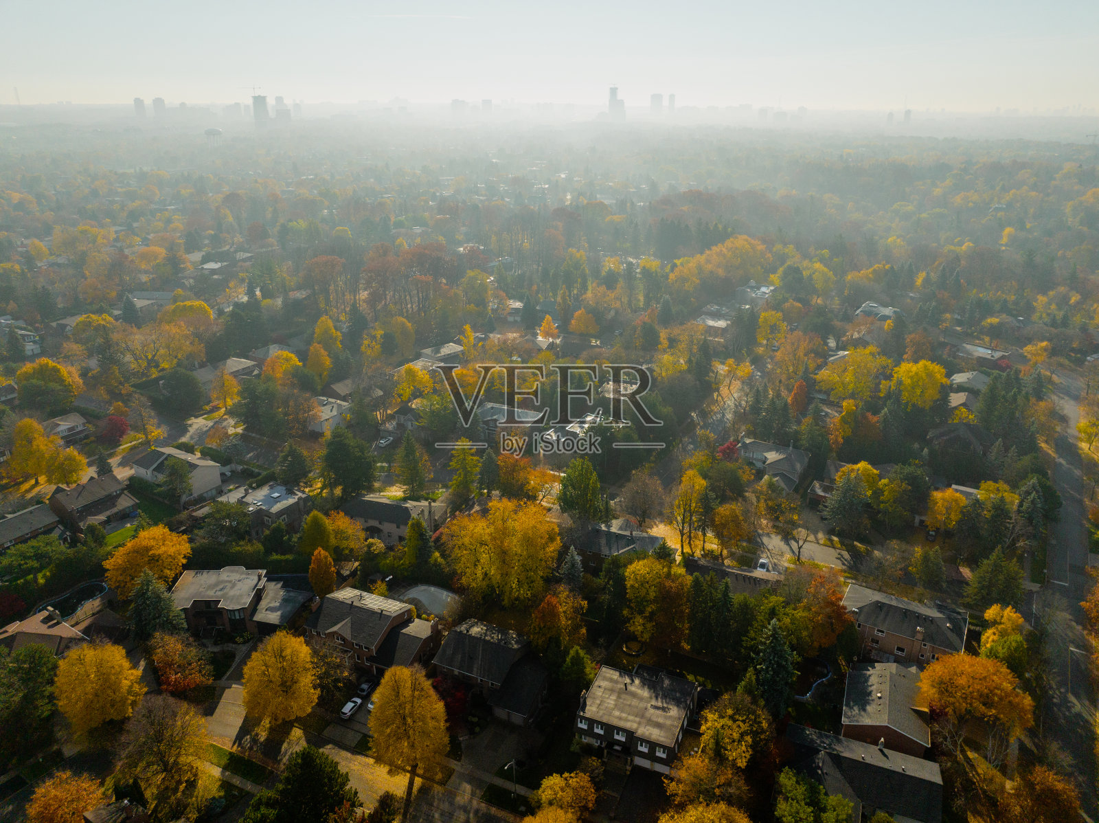 美丽的秋天色彩与多伦多,安大略省,多伦多市中心为背景照片摄影图片