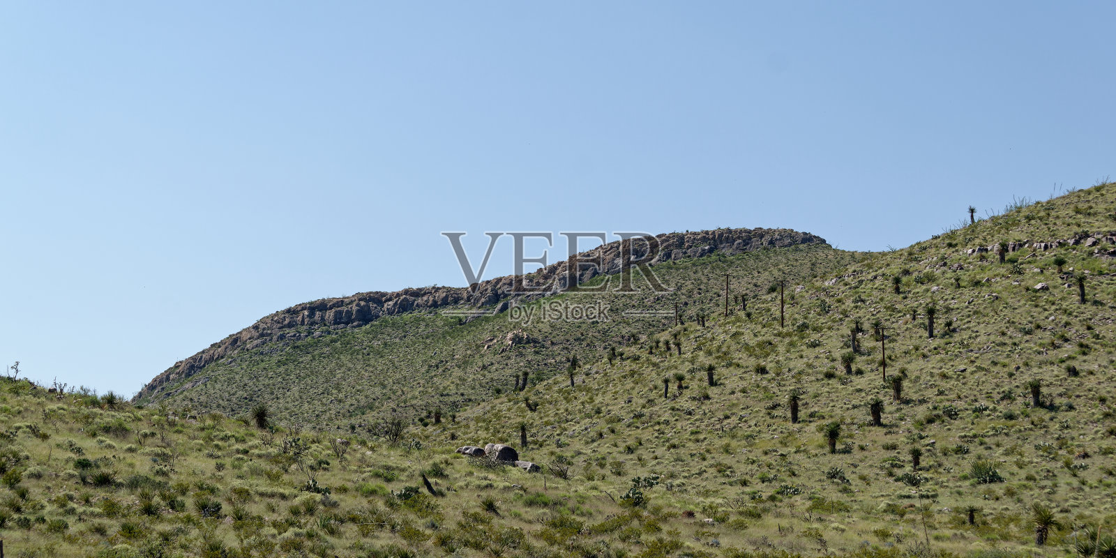 德州西北部多山的广袤地区照片摄影图片