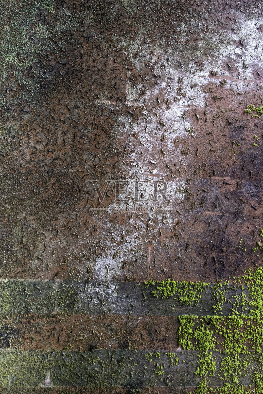 混凝土墙与黑色模具墙纸垃圾质感照片摄影图片