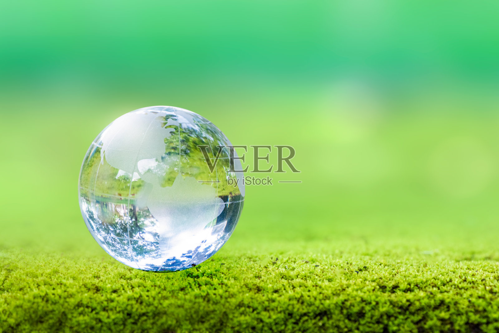 3D插图可再生能源概念地球日或环境保护保护生长在地面上的森林,帮助拯救地球。照片摄影图片