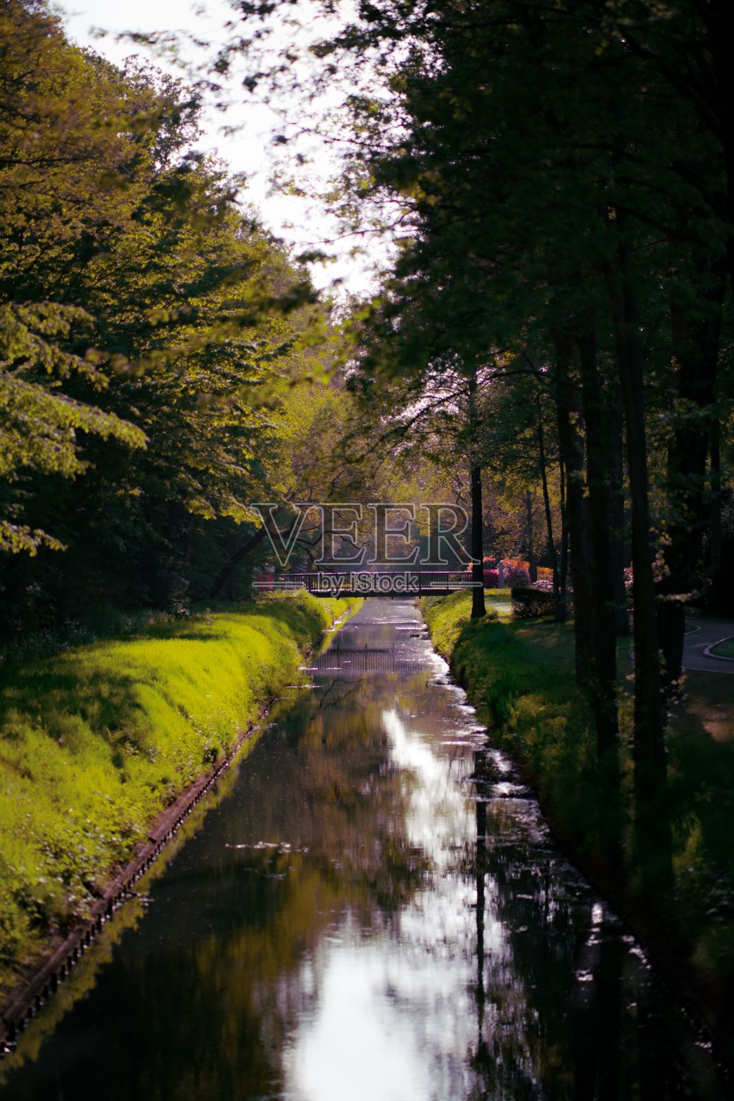 杜鹃公园里的那条河照片摄影图片