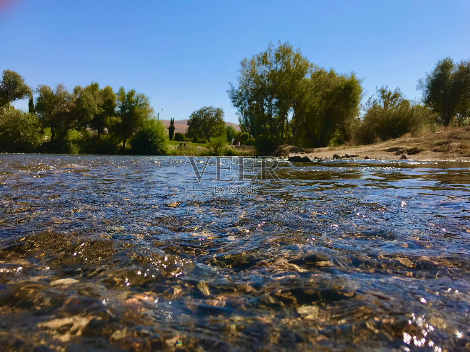 河与平原的水,绿色的树木和蓝天在地平线上照片摄影图片