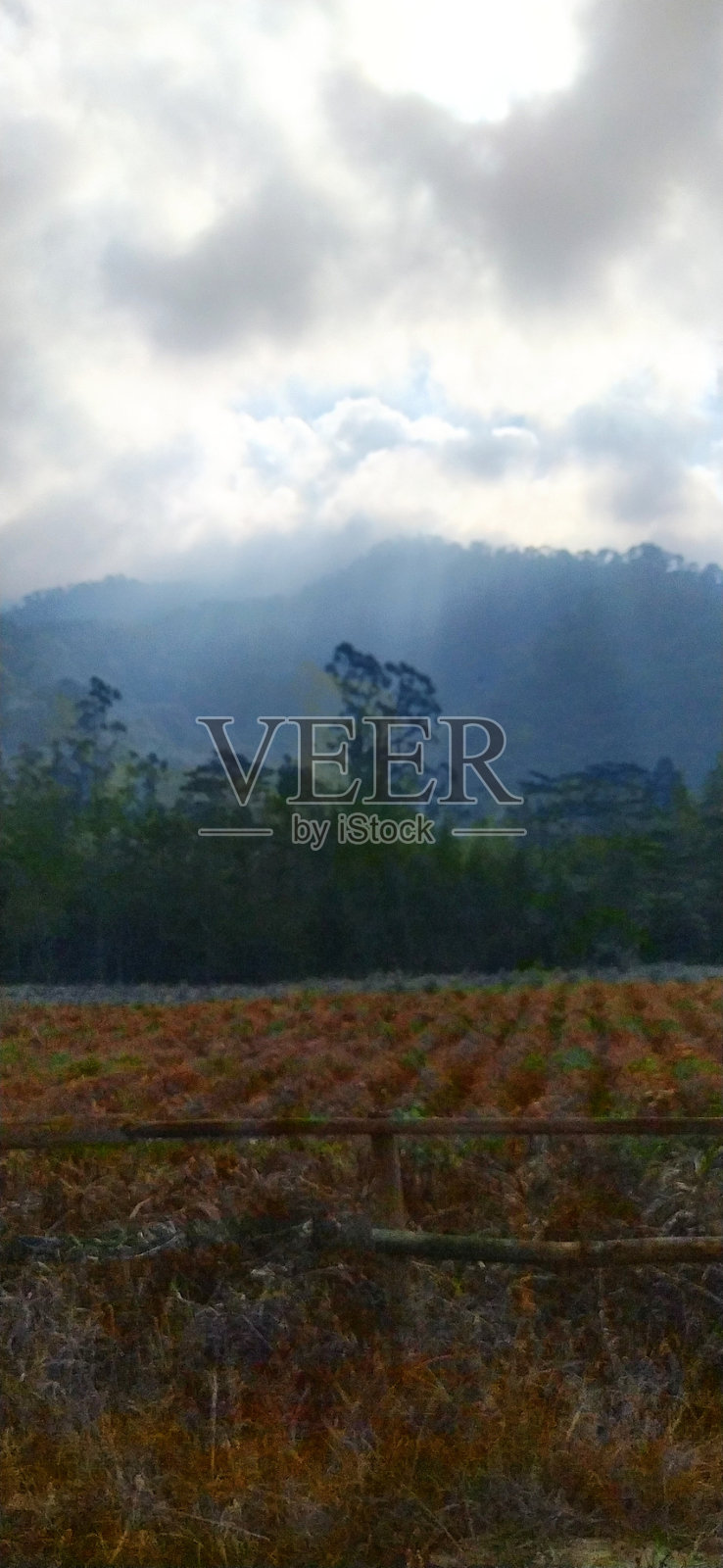 太阳打破了云层照片摄影图片