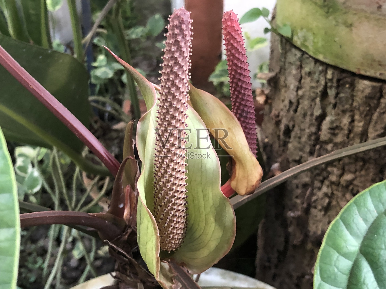 工厂的照片照片摄影图片