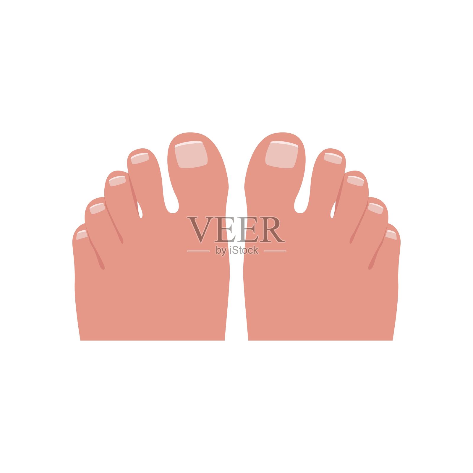 脚趾矢量图插画图片素材