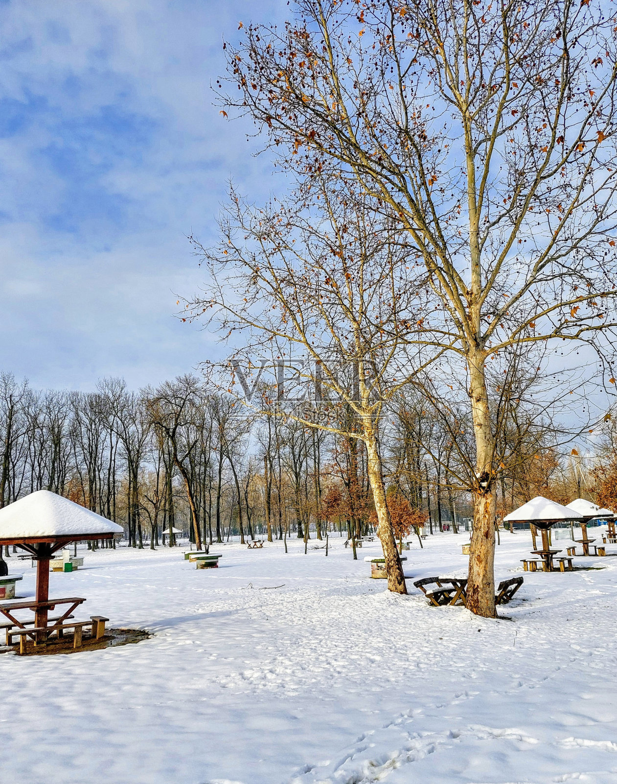 雪景照片摄影图片