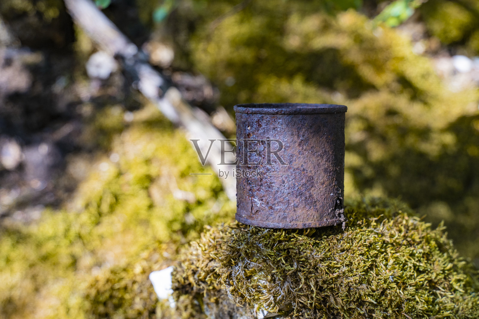 一个生锈的锡罐躺在大自然的青苔上。灾难性的环境污染。大自然中的垃圾照片摄影图片