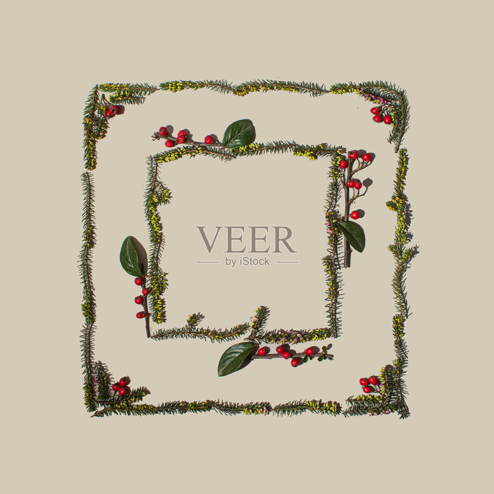 白色背景的圣诞装饰。冬天绿叶和红浆果放在桌子上。平铺创意复制空间。照片摄影图片