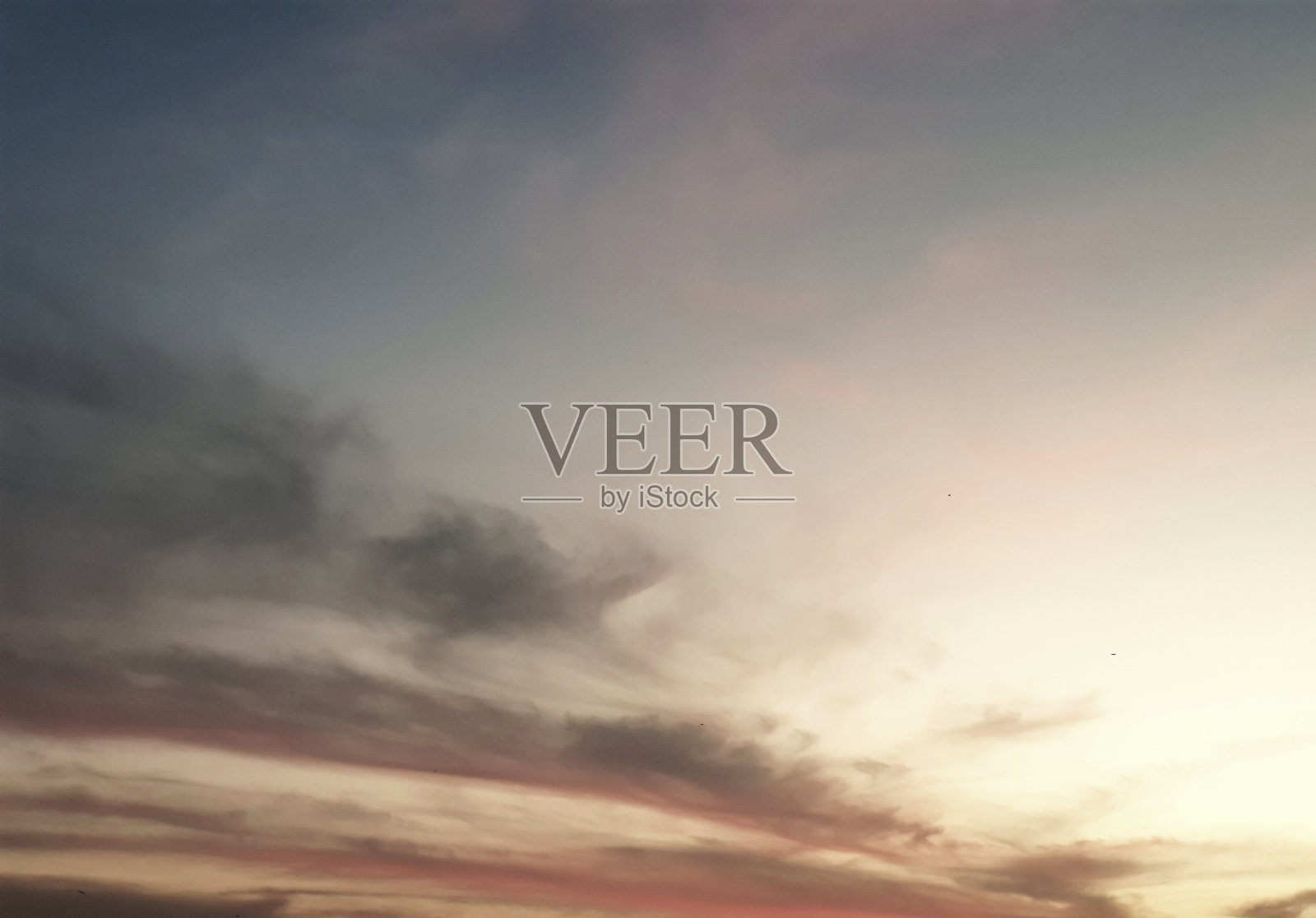 天行者照片摄影图片