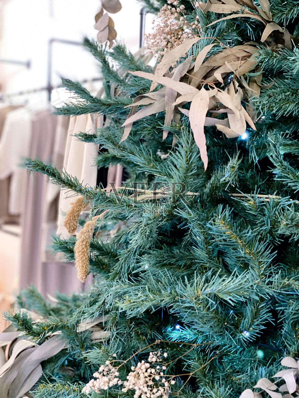 挂满彩灯和干树叶的圣诞树照片摄影图片