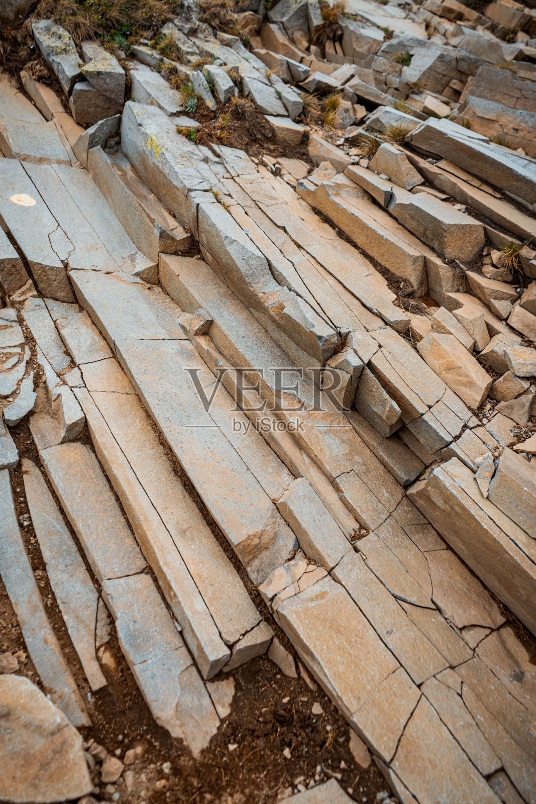 地面上的碎石垂直射击照片摄影图片