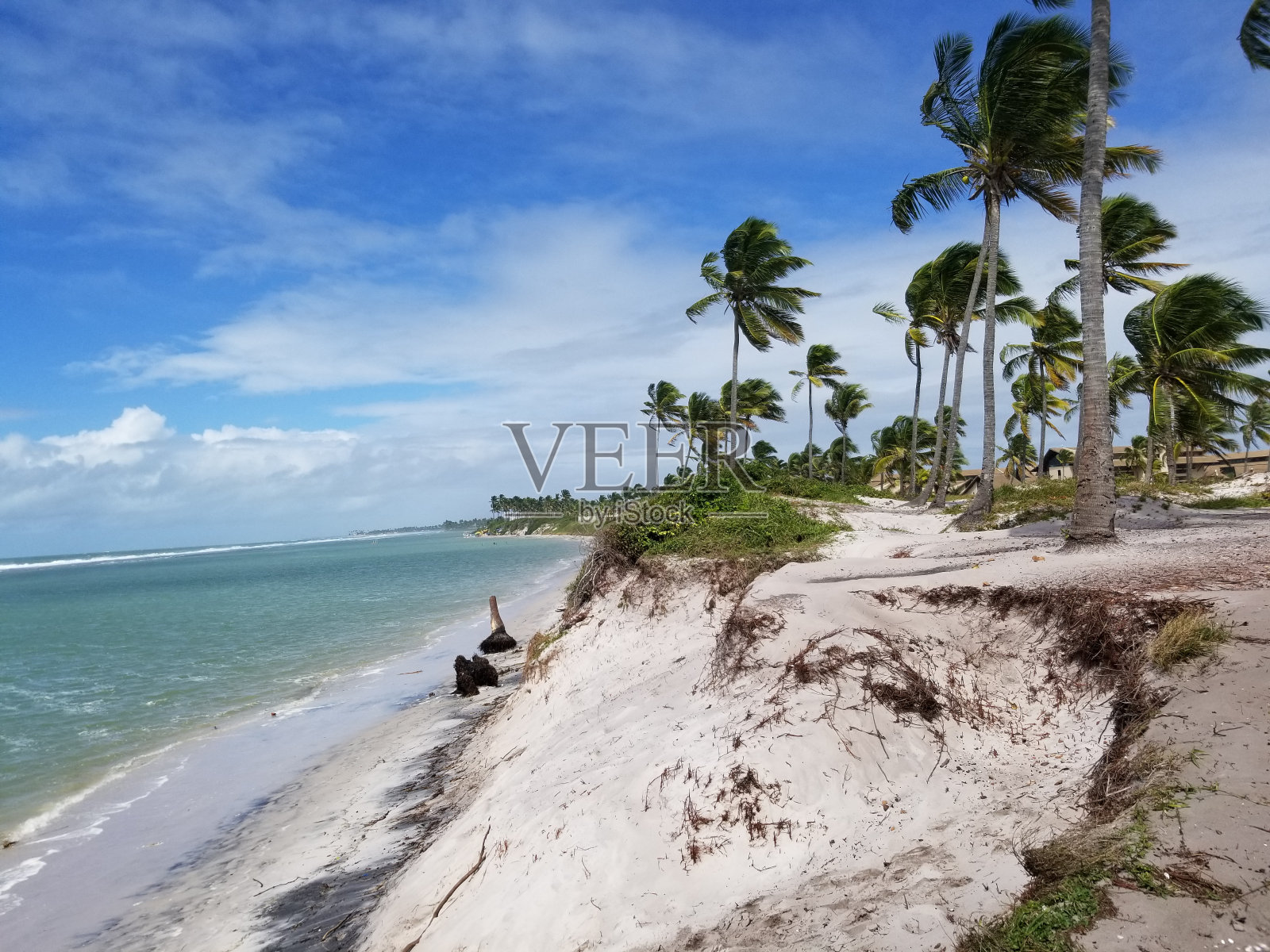海滩上的晴天照片摄影图片