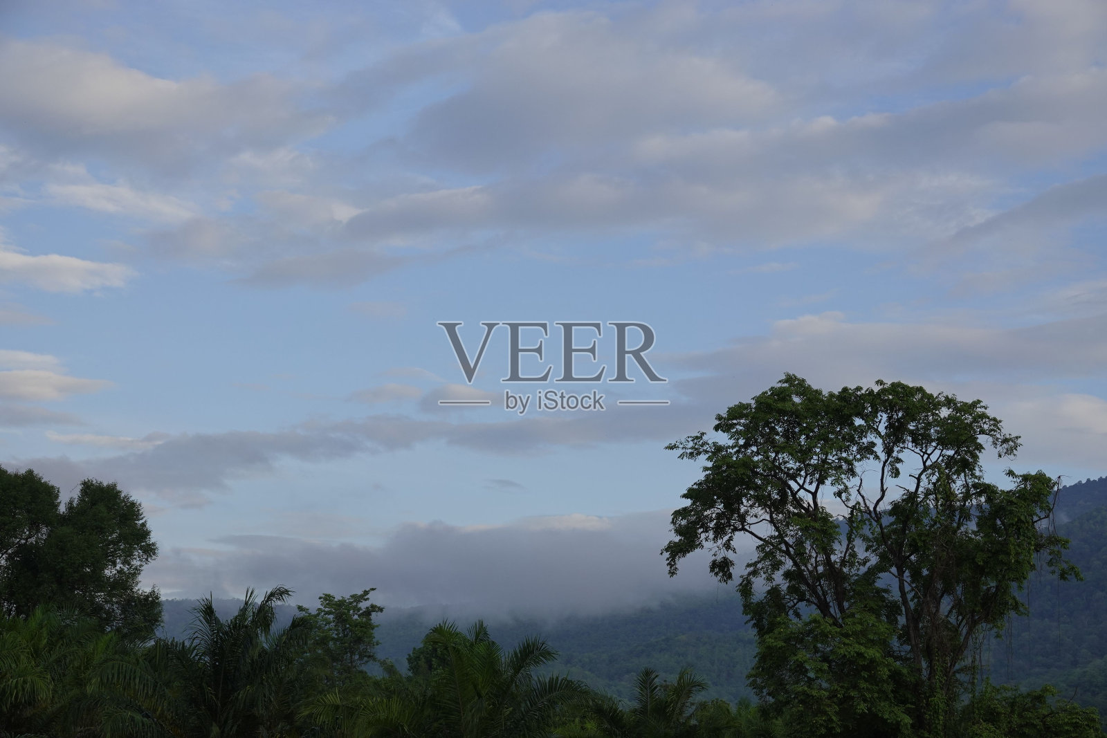 傍晚,蓝天白云,森林上空照片摄影图片