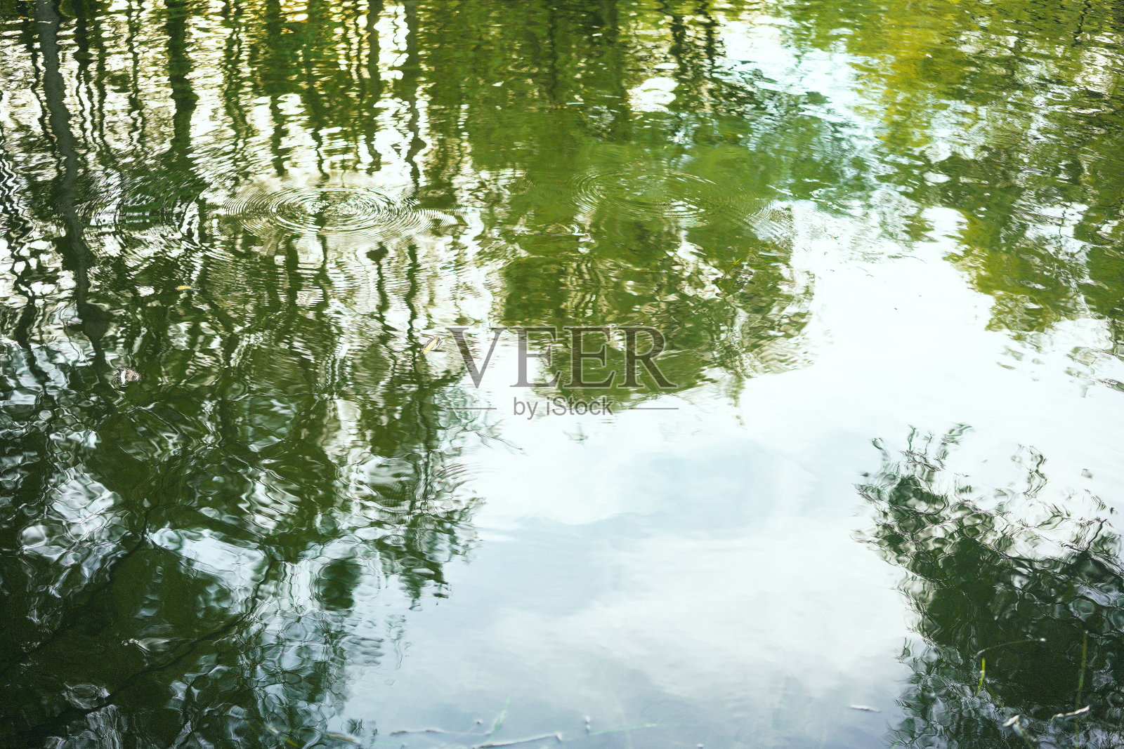 水面照片摄影图片