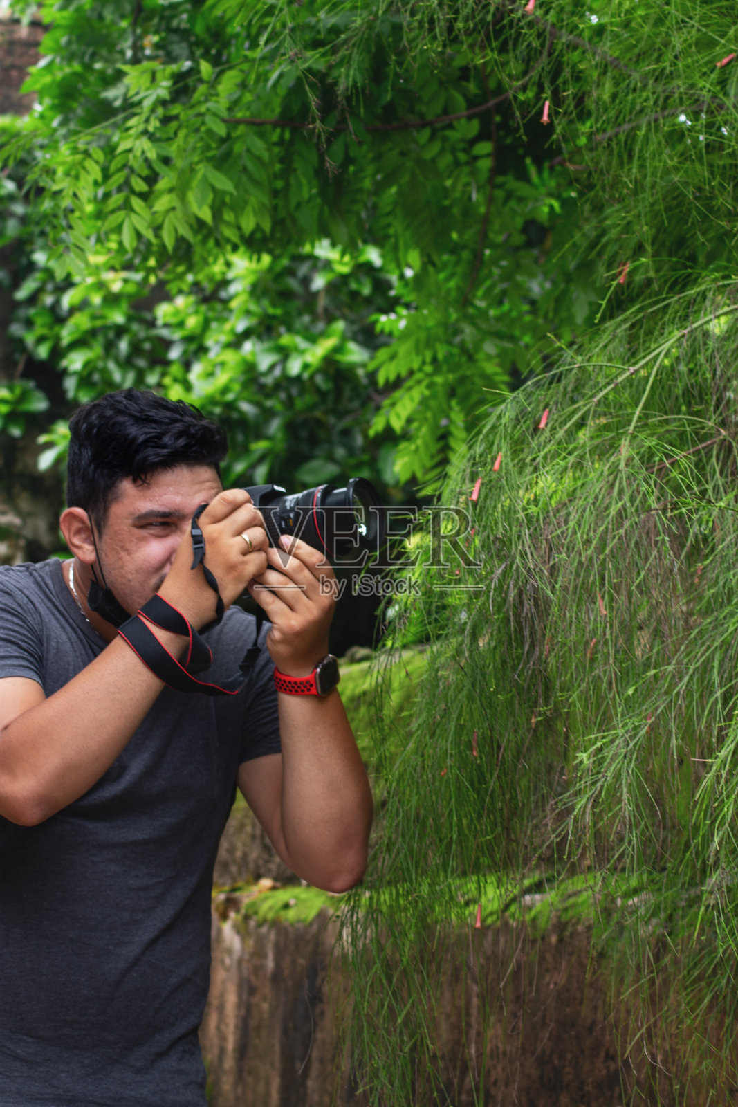 摄影师拍摄自然的垂直镜头照片摄影图片