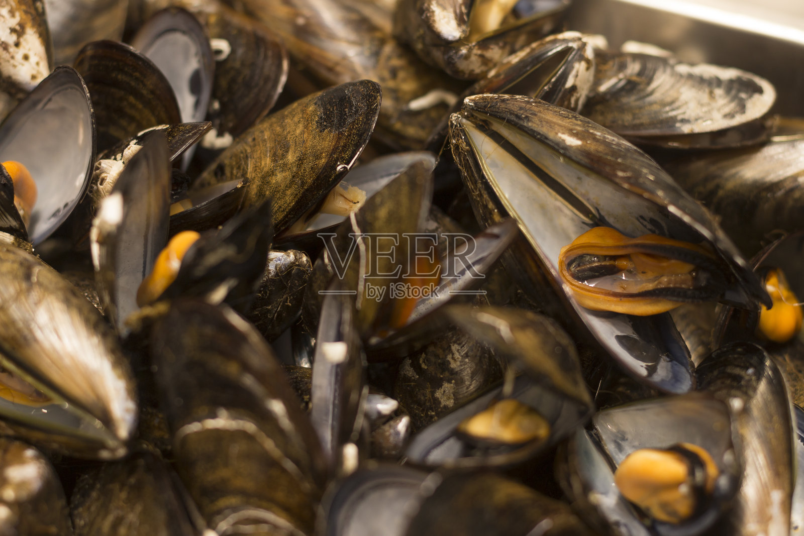 近距离水煮贻贝照片摄影图片