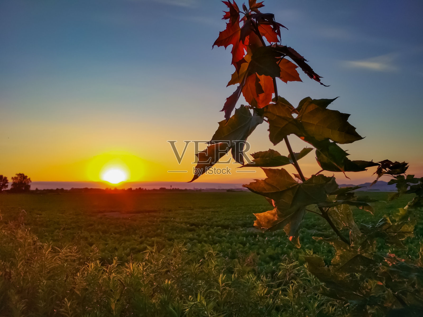 晚上的风景照片摄影图片