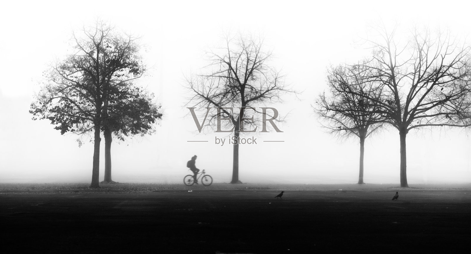 人入雾中照片摄影图片