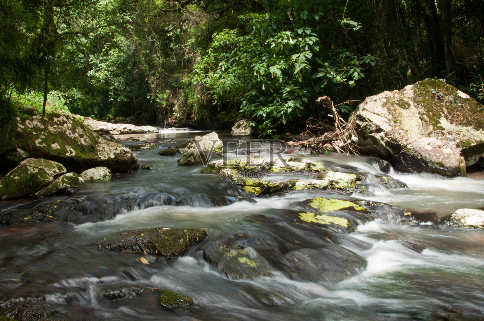 森林里瀑布的照片照片摄影图片