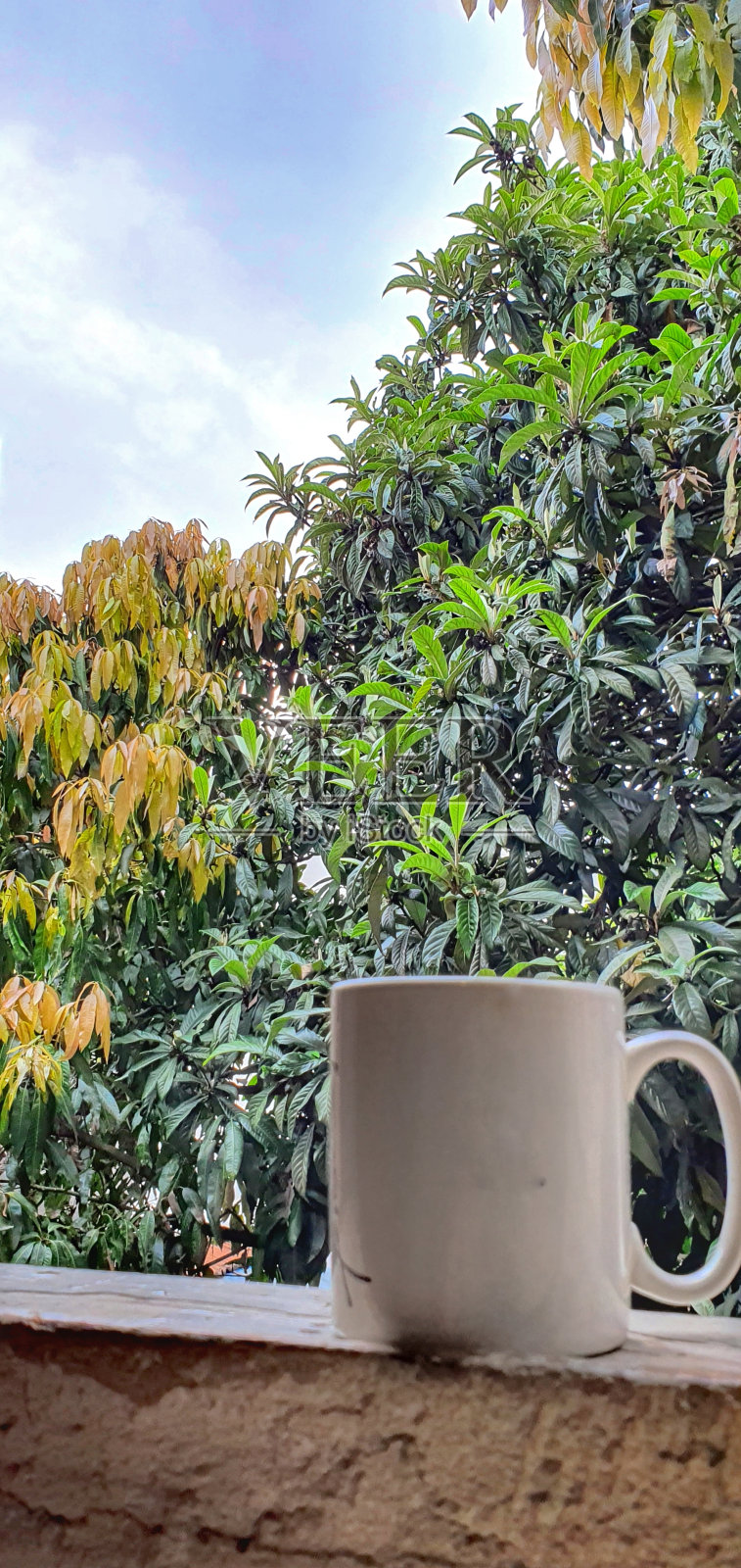 一杯咖啡放在窗户上照片摄影图片