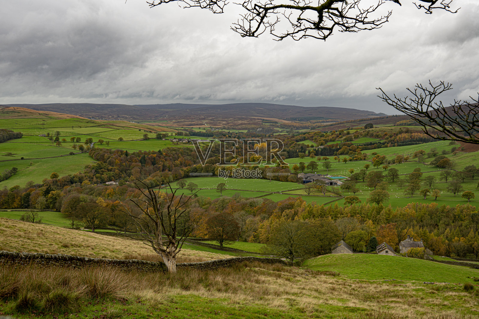博尔顿庄园附近的风景,斯基普顿,北约克郡照片摄影图片